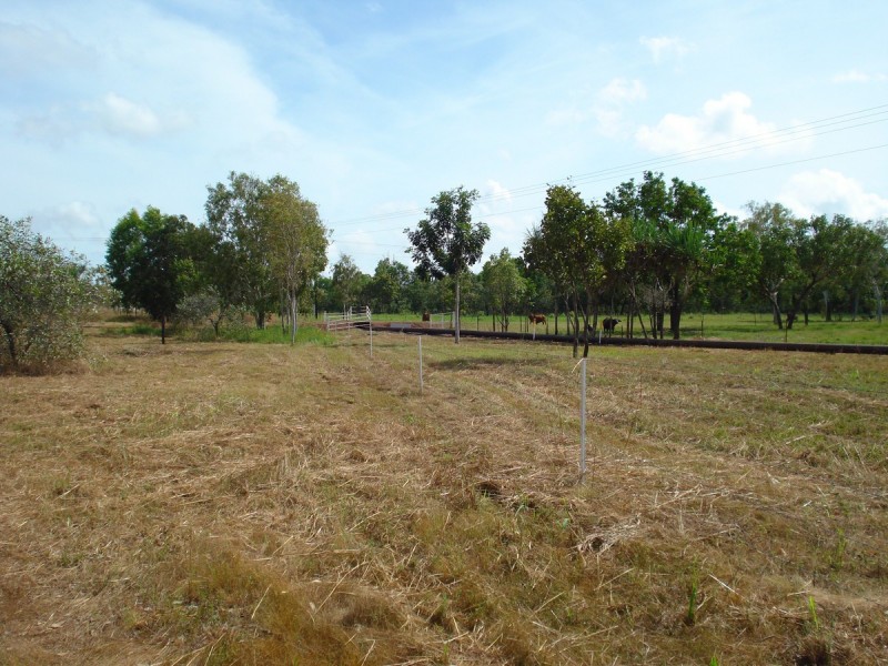 6 McHenry Road, Acacia Hills NT 0822