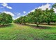 45 Hughes Road, Noonamah NT 0837