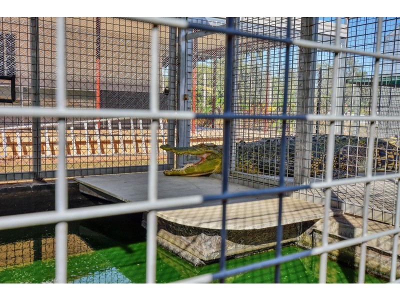 190 Gulnare Road, Bees Creek NT 0822