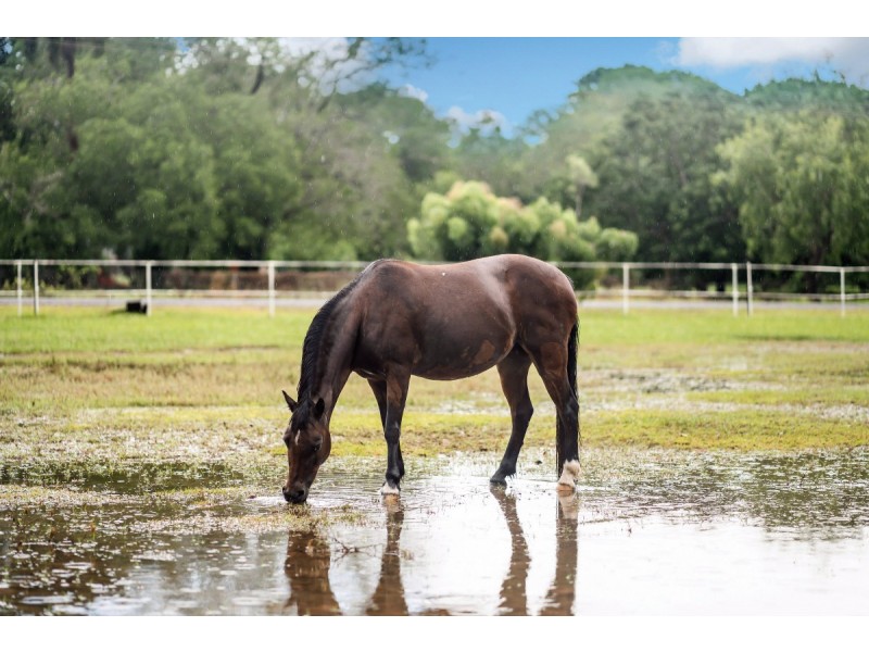 50 Horne Road, Bees Creek NT 0822