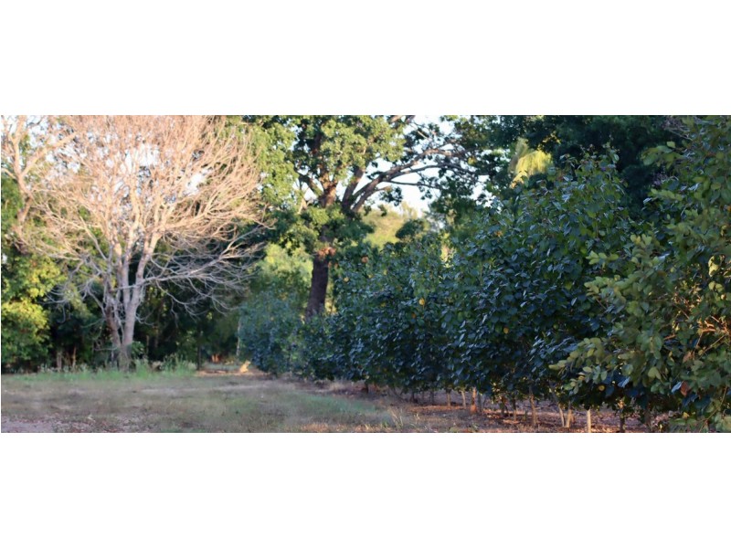 125 Dreamtime Drive, Mcminns Lagoon NT 0822