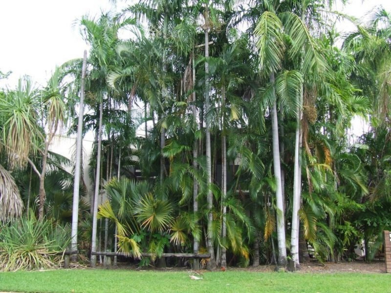 57/23 Hudson Fysh Avenue, Parap NT 0820