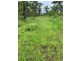 136 Ridgeview Road, Fly Creek NT 0822
