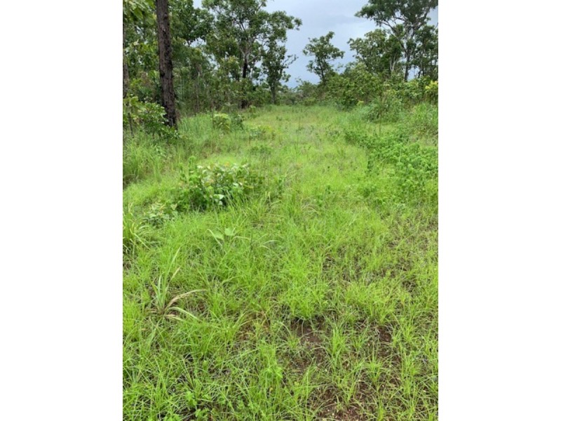 136 Ridgeview Road, Fly Creek NT 0822