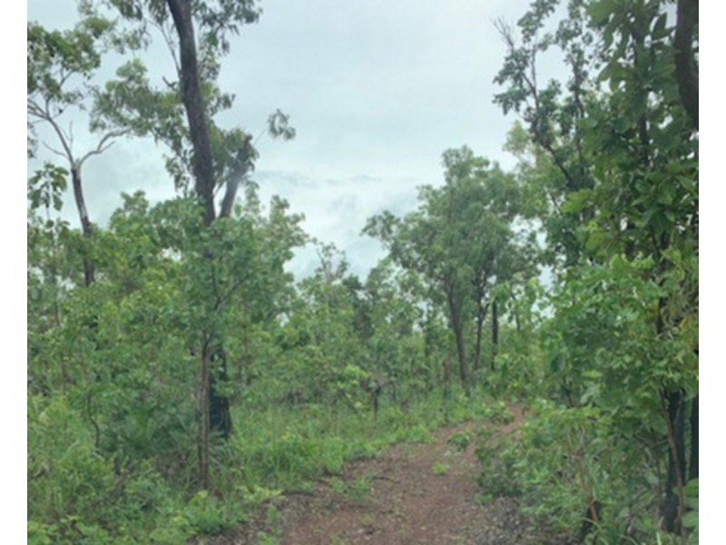136 Ridgeview Road, Fly Creek NT 0822