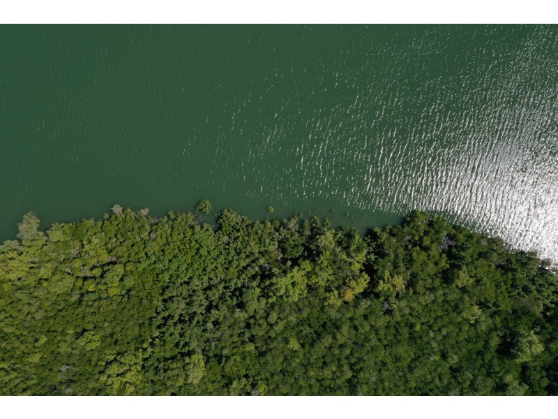 650 Dundee Road, Dundee Downs NT 0840