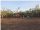 5295 Fog Bay Road, Dundee Beach NT 0840