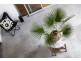 3/12 Gardens Hill Crescent, The Gardens NT 0820