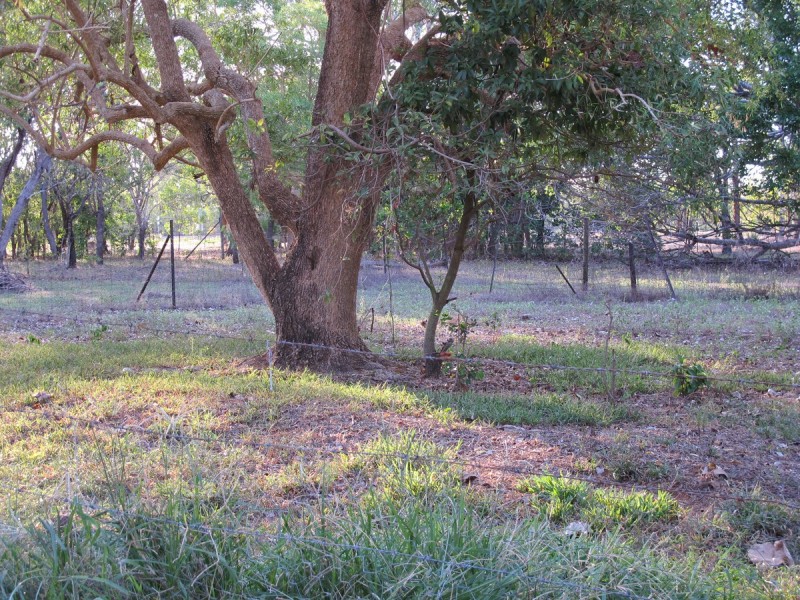 Lot 3629/5150 Fog Bay Road, Dundee Forest NT 0840