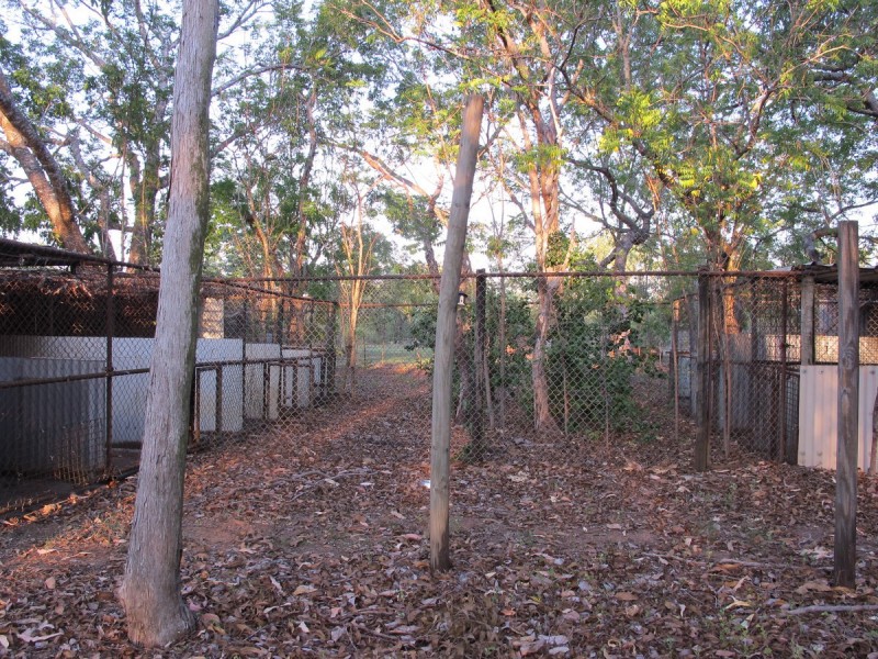 Lot 3629/5150 Fog Bay Road, Dundee Forest NT 0840