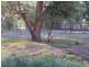 Lot 3629/5150 Fog Bay Road, Dundee Forest NT 0840