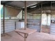 Lot 3629/5150 Fog Bay Road, Dundee Forest NT 0840