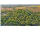 160 Mulgara Road, Berry Springs NT 0838