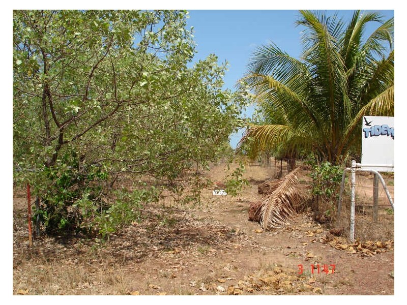 299 Mermaid Circuit, Dundee Beach NT 0840