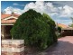 3/59 Thor Street, Innaloo WA 6018