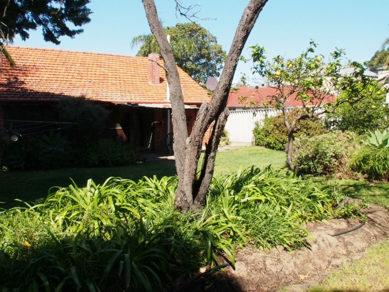 74 Beatrice Street, Innaloo WA 6018