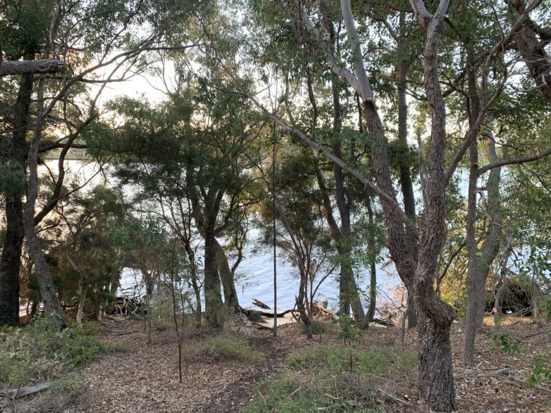 2/6 Minora Place, Rivervale WA 6103