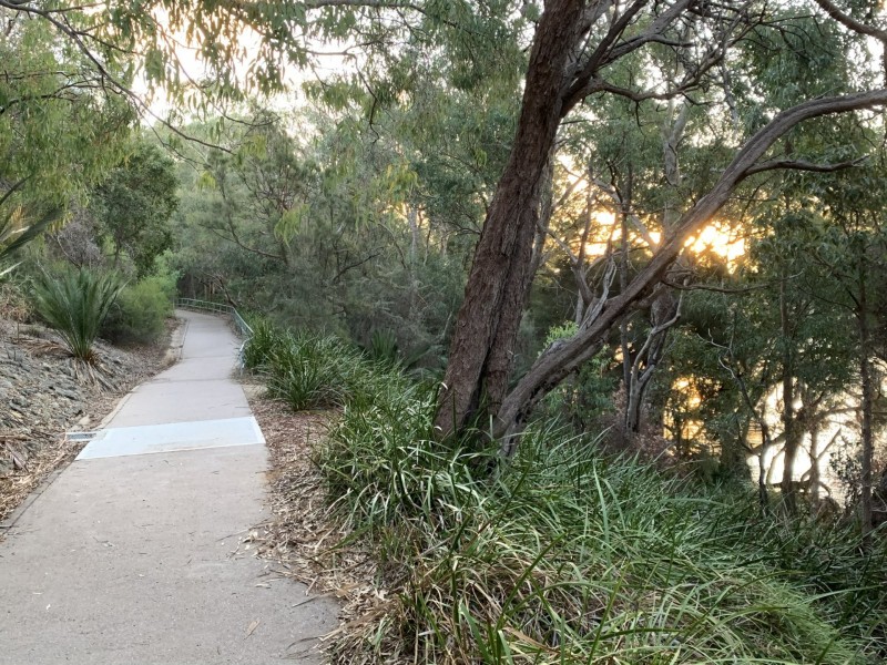 2/6 Minora Place, Rivervale WA 6103