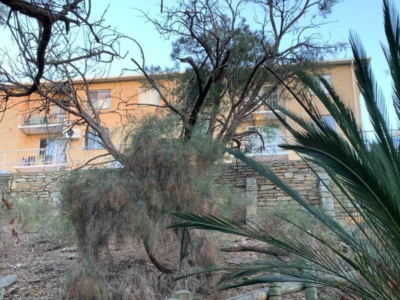 2/6 Minora Place, Rivervale WA 6103