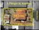 41 Wright St, Kewdale WA 6105