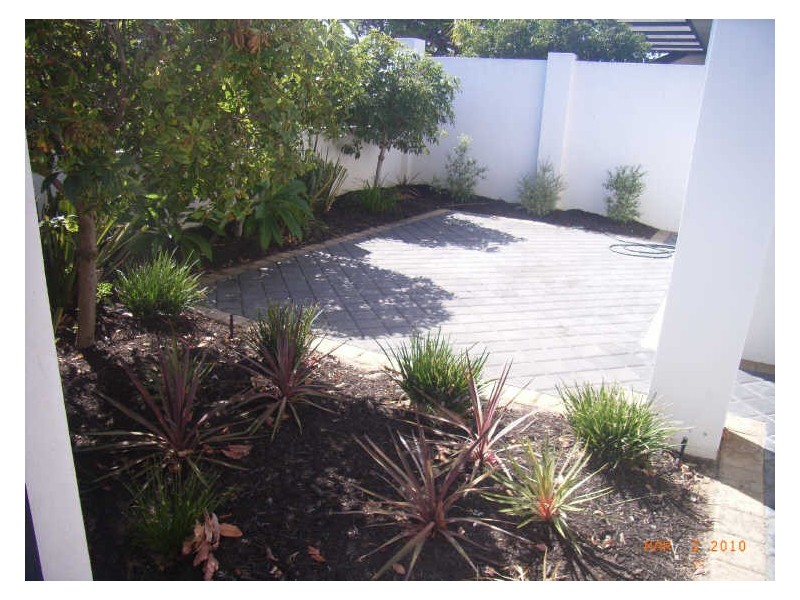 236 Ravenscar Street, Doubleview WA 6018