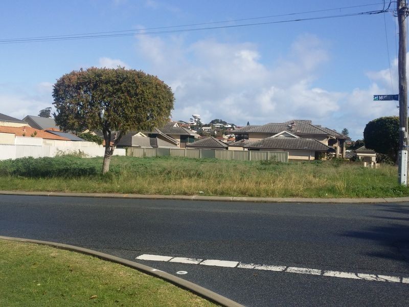 17 Thrall Street, Innaloo WA 6018