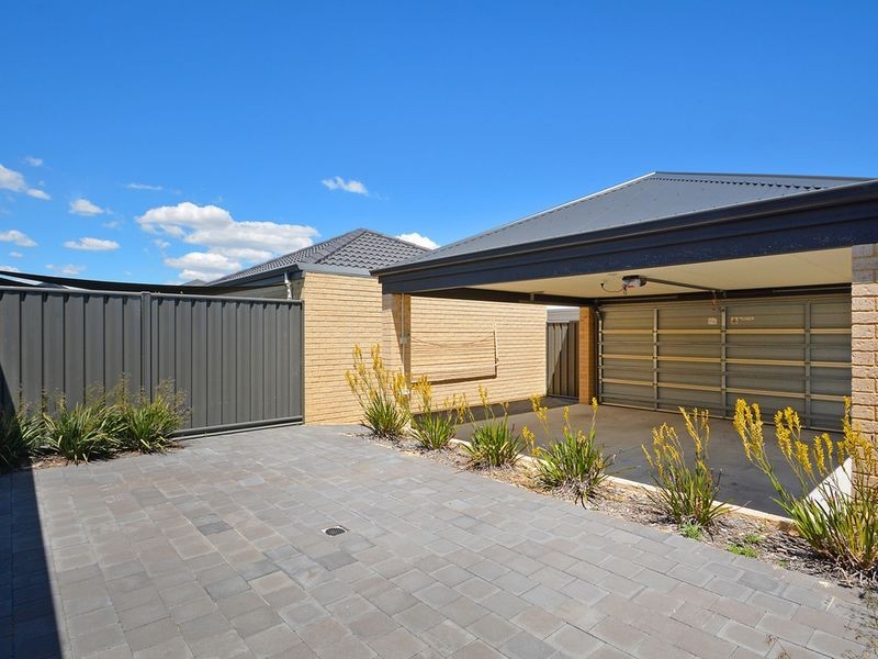 16 Conferta Link, Banksia Grove WA 6031