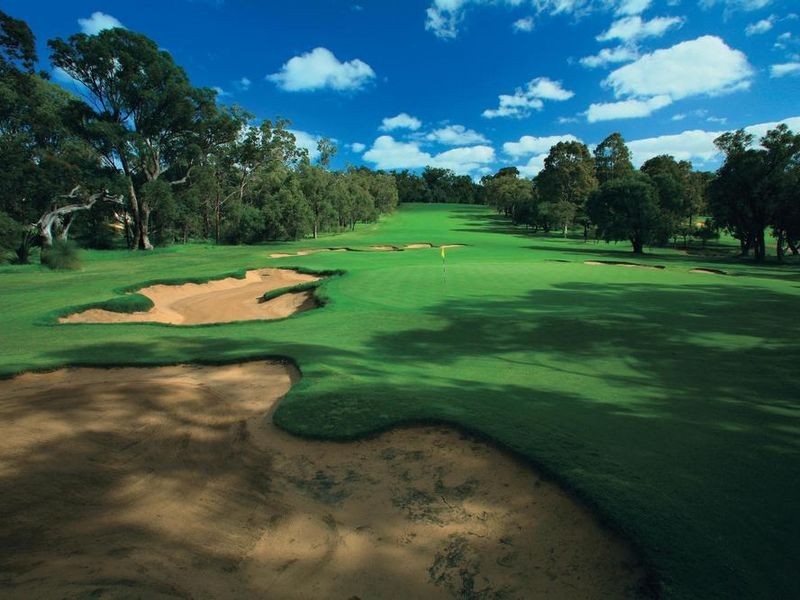 6 Waldorf Street, Carine WA 6020