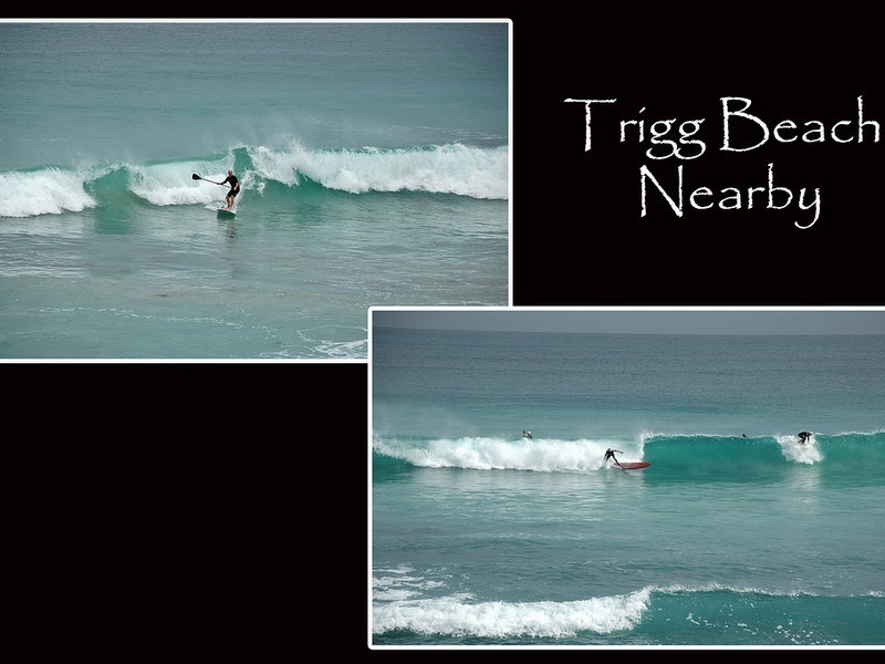 3 Lowe Street, Karrinyup WA 6018