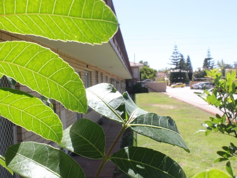 15/303 Harborne Street, Glendalough WA 6016