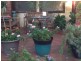 210 Hancock Street, Doubleview WA 6018