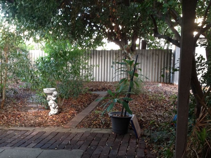 210 Hancock Street, Doubleview WA 6018
