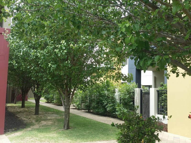 110/215 Stirling Street, Perth WA 6000