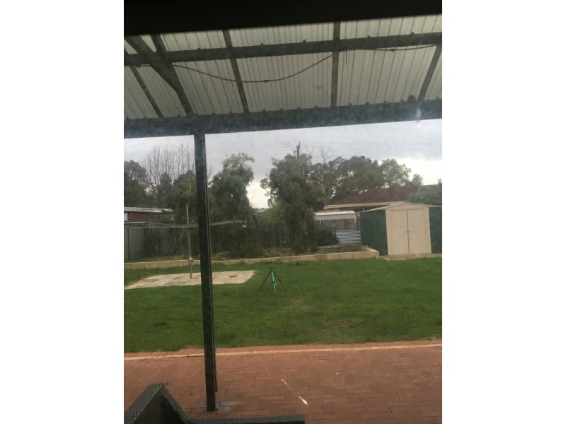 16 Bader Way, Stirling WA 6021