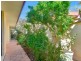 166A Herbert St, Doubleview WA 6018