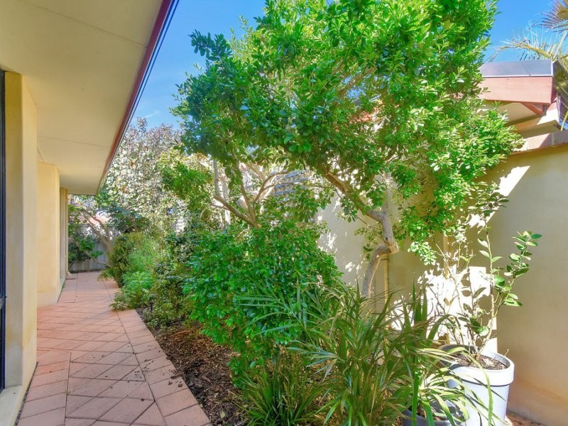 166A Herbert St, Doubleview WA 6018