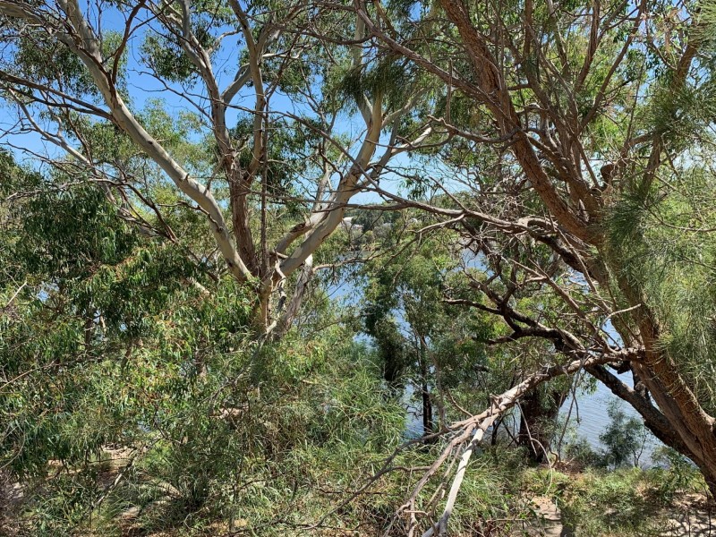 2/6 Minora Place, Rivervale WA 6103