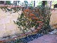 45B Westbury Crescent, Bicton WA 6157