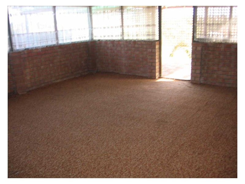 15 McCombe Street, Samson WA 6163