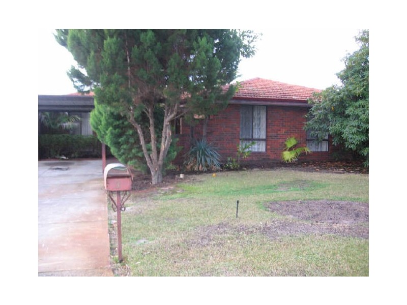 3 Collinson Way, Leeming WA 6149
