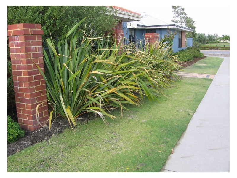 4 Goulburn Approach, Hammond Park WA 6164