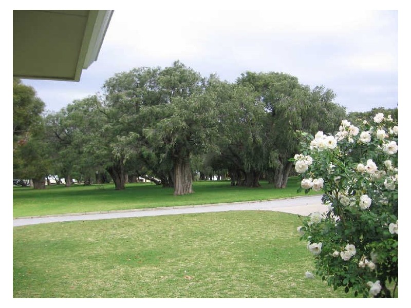 63A Birdwood Circus, Bicton WA 6157