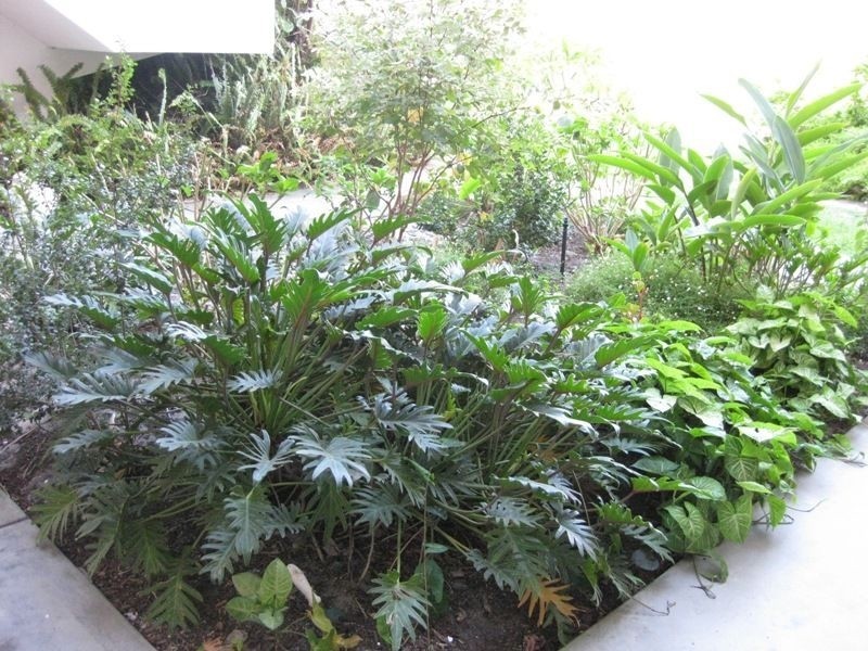 UNIT 2, 70 MATHESON ROAD, Applecross WA 6153