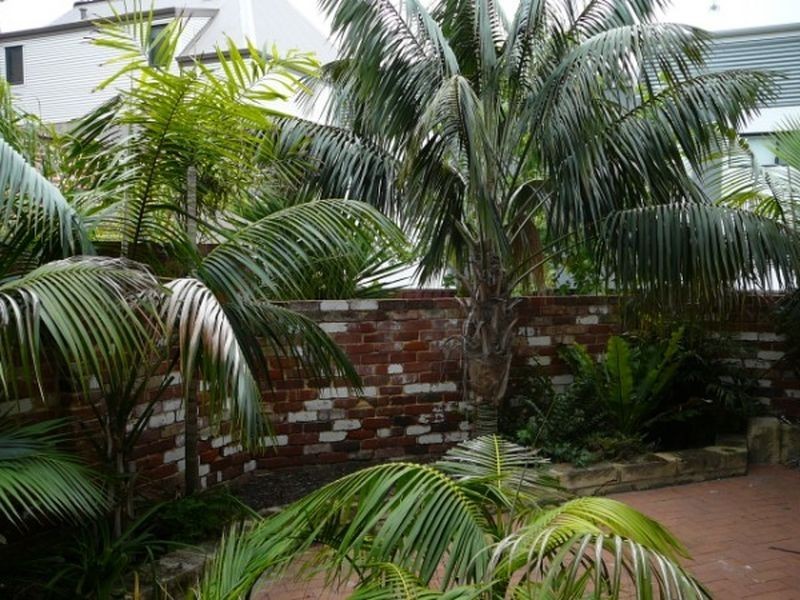 66 Thompson Road, North Fremantle WA 6159