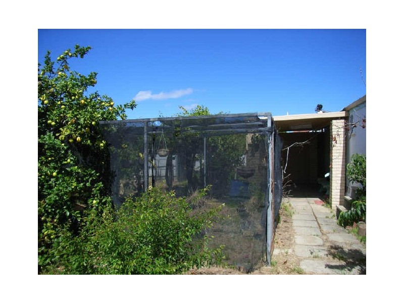 26 Wrexham Street, Bicton WA 6157