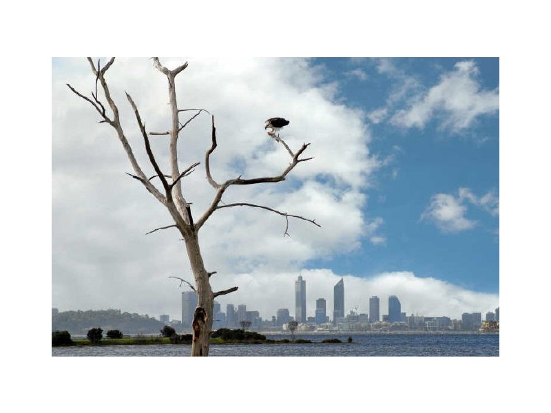 2/240 Burke Drive, Attadale WA 6156