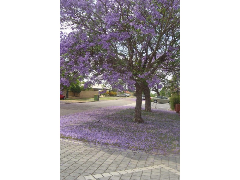 23 Ullapool Road, Applecross WA 6153