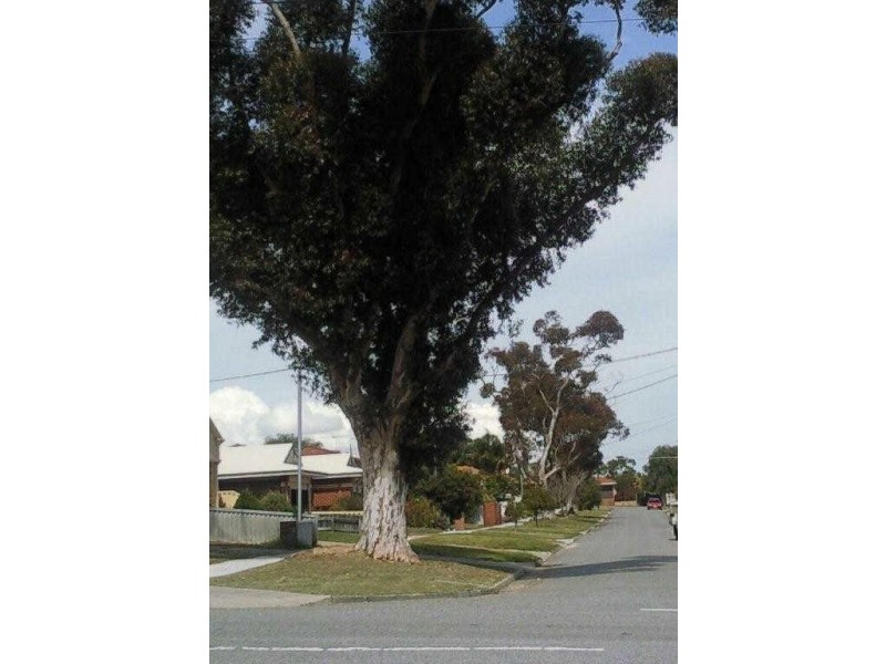 2 & 3/24 Waddell Road, Palmyra WA 6157