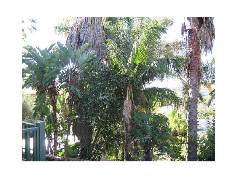 45B Westbury Crescent, Bicton WA 6157