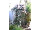 72A Hammad Street, Palmyra WA 6157
